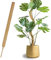 1 Pieza 70cm*4CM tutores para Plantas,Tutor Monstera,Moss Pole,Plegable Tutor Monstera,Trepadoras Fibra de Coco Soporte,Soporte para Plantas de tótem,para Plantas de Interior y Exterior