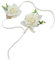 Vsosfiza 1 Satz Boutonniere Und Handgelenk Blume für Braut&Bräutigam,Künstliche Ansteckblume und Seidenarmband für Hochzeit,Jubiläumsdaten Party.(Beige)