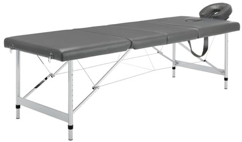 Rantry Massageliege, 4 Zonen, Aluminiumrahmen, Anthrazit, 186 x 68 cm, Möbel für Zuhause, Innen- und Außenbereich, Wohnzimmer, Schlafzimmer, Dekoration für Möbel
