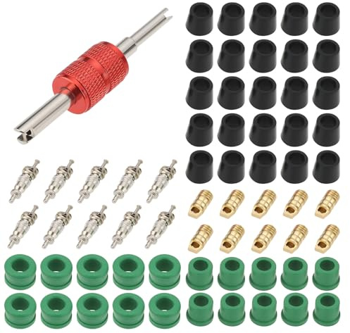eMagTech 71 Piezas Herramienta de reparación de juntas de mangueras de aire acondicionado de automóviles accesorio de instalación y extracción para aire acondicionado de automóviles