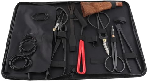 Bonsai Tools Set Carbon Steel, Mini Gartenwerkzeug Set mit Leaf Cutter, Spaltzange, Knospenzange, Rake - Hochwertiges Baofuya Zubehör, Ideales Abmoosen und Trimmen für Bonsai und