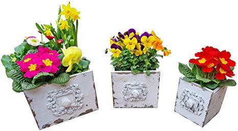 Fachhandel Plus PFLANZGEFÄßE Schubladen Shabby chic Blumentopf Vintage Blumenkasten 3 Stück