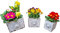 Fachhandel Plus PFLANZGEFÄßE Schubladen Shabby chic Blumentopf Vintage Blumenkasten 3 Stück