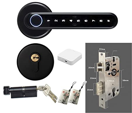 Serrure de porte intelligente, Serrure biométrique intelligente d'empreinte digitale de télécommande compatible d'application de Tuya for la porte en bois en métal d'intérieur(C6 Kit D)