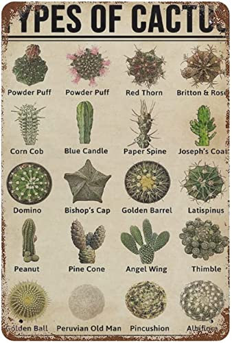Metall-Blechschild „Arten von Kakteen, Vintage-Kaktus-Poster, Arten von Kakteen, Sukkulenten, Wissen, Vintage-Aluminiumschild für Zuhause, Schlafzimmer, Café, Garage, Geschenk für Kaktusliebhaber, Wa