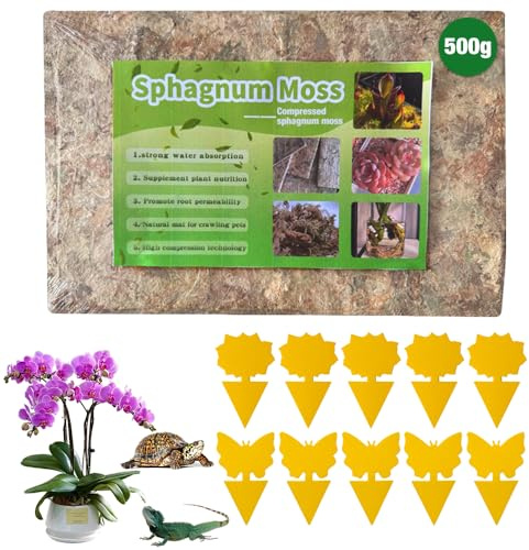Muschio di Sfagno, Naturale Sfagno, Garden Sphagnum Moss Moisturizing, Sfagno Terriccio per Orchidee Terriccio Bonsai Sfagno per orchidee, phalaenopsis