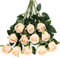 Tifuly Rosen Künstliche Blumen 12 Pcs Seide Künstliche Rose Blumen Gefälschte Blumen für Brautstrauss Haus Hochzeits Party Deko DIY(Champagner)