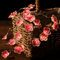 YeahBoom Kirschblüten Lichterkette,5M 50LED Sakura Lichterkette Batteriebetrieben,Frühling Deko für Innen und Außen,Blüten Lichterkette Deko für Kinderzimmer Garten Balkon Valentinstag Hochzeit Party