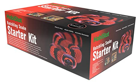 Habistat Hatching Snake Starter Kit in Black