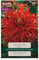 Taylors Dahlia Show 'N' Tell Pack of 1