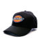 Dickies Mütze Logo HA450
