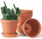 Lot de 4 pots de fleurs en terre cuite et argile avec soucoupe, pot de fleurs moyen avec trou de drainage, pot de fleurs en terre cuite avec plateau pour intérieur et extérieur 15,2 cm