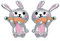 Tier Ohrringe Kawaii süße Hasen Hase Karotte Ohrstecker Ohrringe 925 Sterling Silber Kaninchen Schmuck Ostern Häschen Geschenke für Damen Kinder