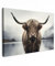 MuchoWow© Bilder Groß 120x80 cm XXL Wohnzimmer Deko Modern Wandbild Foto auf Leinwand Bild Schlafzimmer Room Decor Geschenke Schottische Hochlandrind - Kuh - Highland Cow - Wasser - Nass
