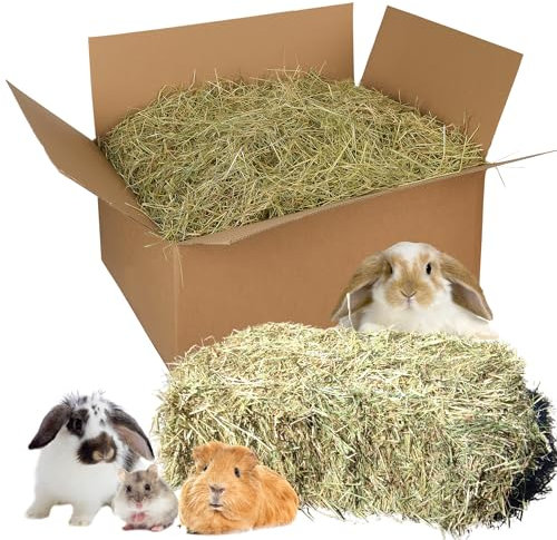 Natursache I frisches Heu aus Bioanbau - Gesunde Nahrung & Einstreu für Kaninchen, Meerschweinchen & Nager. Staubarm. Ideal für die Heuraufe (8-10 kg)