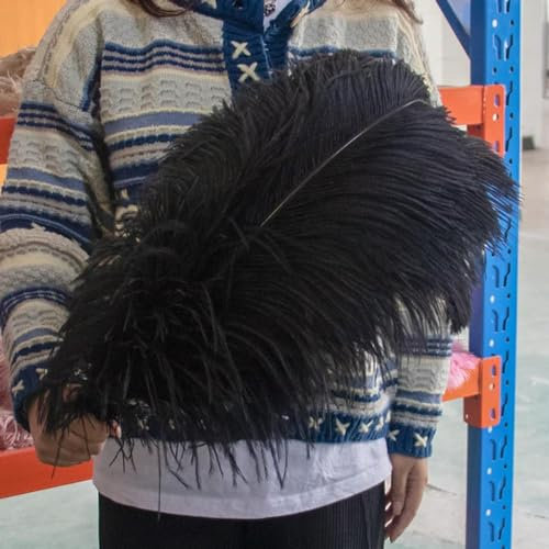 10 Stück flauschige natürliche Straußenfedern zum Basteln, Hochzeit, Tischdekoration, Kostüm, Party, Show, Zubehör, Federn, 15–60 cm, Schwarz, 50–55 cm, 20–22 Zoll