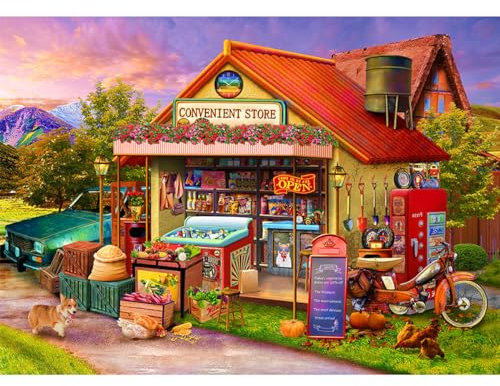 HUADADA jigsaw puzzles for adults 1000 piece jigsaw puzzles for adults Puzzles for Adults Kids Educational Games Home Decoration Colorful Jigsaw Puzzle (27.56 x 19.67) (Convenience store)