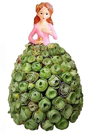 Povanjer Support de Fleur de Jupe de Princesse succulente - Jardinières Succulentes Pot De Fleurs Pot De Fleurs | Idéal pour Les, succulentes, Echeveria, Jade Plant, Design Lovely Little