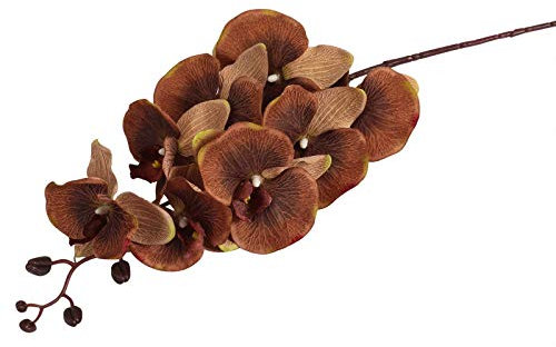 Premium Modern Large Orchid - Real Touch Home Decor Artificial Flowers[Brown]