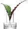 LSA International Metropole Riga Vase aus klarem Glas, 22 cm