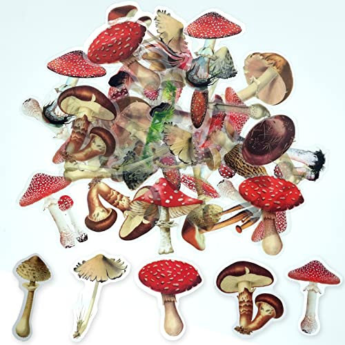 ExceLife Retro Mushroom Stickers Set, Self-Adhesive PET Transparent Waterproof Mushroom Stickers for Scrapbooking, Journal, Album, Phone Case, Laptop, Card Making, 40Pcs