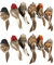 Jasmeko Künstlicher Rotkehlchen-Vogel zum Anklemmen – roter Kardinal, Weihnachtsbaum-Dekoration, Vogel-Bastelsets für Baum, Haus, Garten, Party-Dekorationen im Freien (D-12Pcs-Sparrow)