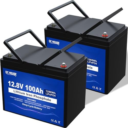 DCHOUSE 2 Pack 12V 100Ah LiFePO4 Battery, Improved 100A BMS, Up to 4000 Cycles, 1280Wh Lithium Battery, Perfect for Golf Carts, Trolling Motor, Boats, Camping, Solar