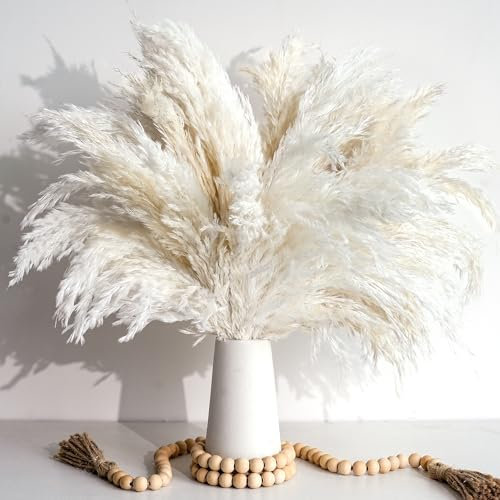 Lot de 20 herbes de la pampa décoratives blanches – Vases esthétiques et fleurs de style maison de campagne vintage pour salon, chambre à coucher et salle de bain