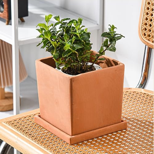 Lot de 4 pots de fleurs carrés en terre cuite avec trous de drainage et plateaux pour la maison, le bureau et le jardin pour les amateurs de plantes (plantes vendues séparément)