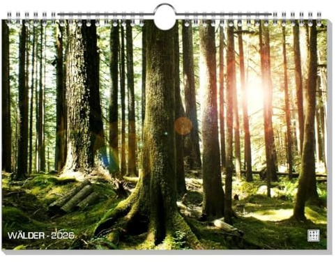 artboxONE Kalender 2026 WÄLDER Wandkalender A4 2026 Natur