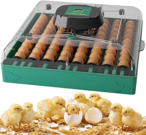 Plutohiker Brutautomat Vollautomatisch 72 Eier | Brutmaschine mit Temperaturregelung, Feuchtigkeitsanzeige, Inkubator für Hühner, Enten und Tauben