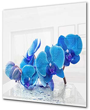 Glass kitchen backsplash – Tempered Glass splashback – Photo backsplash BS03 Flower Series: Blue Orchid 2