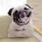 Nicole Knupfer 3D Zierkissen mit waschbarem Bezug, Cute Katze, Dekokissen, weiches Kopfkissen, Sofakissen Couchkissen Home Decoration, geeignet für Allergiker (F,50cm)