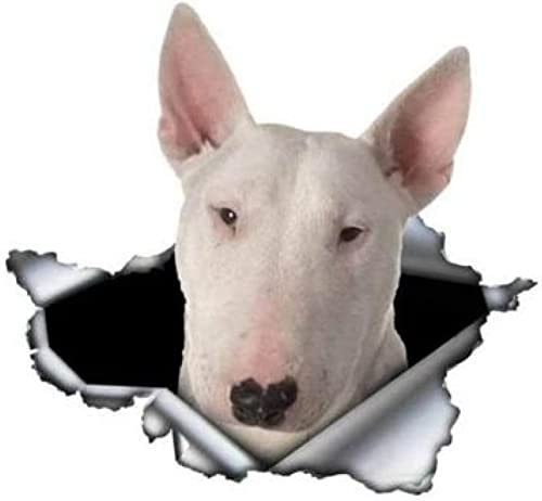 Autoaufkleber 15 Cm Weißer Bullterrier Autoaufkleber Zerrissener Metallaufkleber Reflektierende Aufkleber Wasserdichtes Auto Styling Haustier Hund Aufkleber