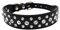 Smniao Hundehalsband Breit Leder Glänzendes Strass Design, Weiches Verstellbares Halskette Halsband für Kleine Mittlere Große Hunde (S, Schwarz)