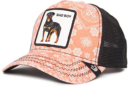 Goorin Bros. Unisex The Farm Collection Trucker-Kappe, verstellbar, Netzstoff Baseballkappe, Rosa Paisley (Lovesexy), One Size