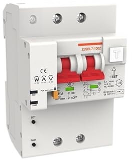 PMZZHUPVR Disjoncteur 2P, Interrupteur, Surcharge, Protection Contre Les Courts-Circuits, Puissance(2P 20A,110V Voltage)