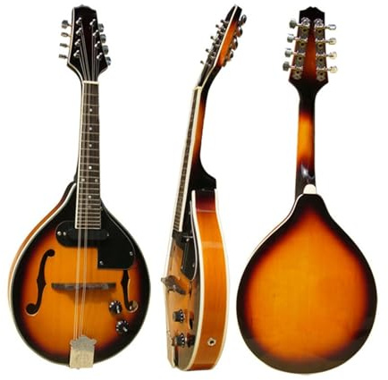 Professional electro acoustic mandolin instruments Professional Mandolin Instruments