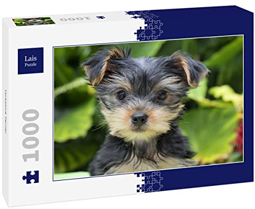 Lais Puzzle Yorkshire Terrier 1000 Teile