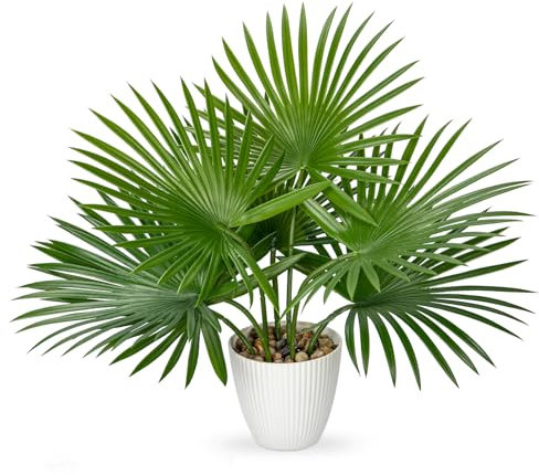 Oairse Palmier artificiel en pot de 38 cm avec 7 feuilles réalistes pour décoration d'intérieur, plante tropicale artificielle pour maison, bureau, salle de bain, cuisine, décoration d'angle