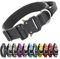 TSPRO Premium Hundehalsband mit Griff Dickes Verstellbares Taktisches Hundehalsband Schwere Ausführung Schnellverschluss Metallschnalle für Mittelgroße bis Große Hunde (Schwarz M)