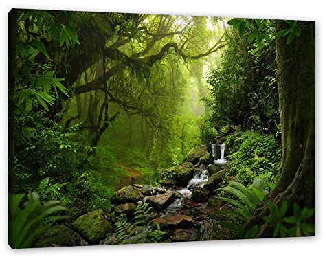 Pixxprint Kleinder Wasserfall im Dschungel, Größe: 120x80cm, Leinwandbild, fertig gespannt, Wandbild, Dekoration, Kunstdruck, kein Poster
