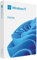 Microsoft Windows 11 Home