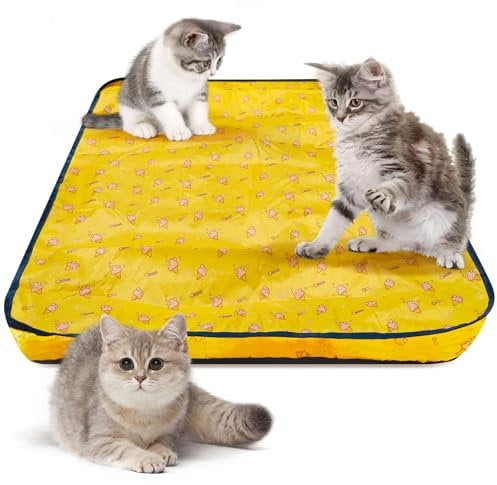 Oryzium Interactive Cat Ball Toys Mat for Kitten,Automatic Cat Toy for Indoor Adult Cats,Mouse Bird Hunting Games for Cats Fast Rolling & Motion Activated