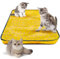 Oryzium Interactive Cat Ball Toys Mat for Kitten,Automatic Cat Toy for Indoor Adult Cats,Mouse Bird Hunting Games for Cats Fast Rolling & Motion Activated