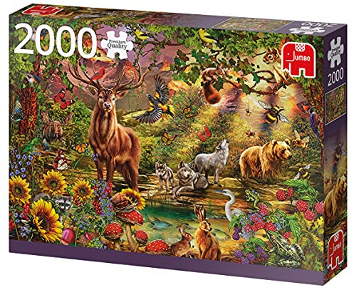 Jumbo 18868 Zubehör, Mehrfarbig