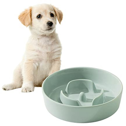 Havniva Ceramic Slow Dog Feeder Bowl for Small Dog, Slow Dog Food Bowl Small, Slow Dog Water Bowl, Stop Bloat, Preventing Choking (1 x Light Green, 15.5cm)