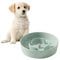 Havniva Ceramic Slow Dog Feeder Bowl for Small Dog, Slow Dog Food Bowl Small, Slow Dog Water Bowl, Stop Bloat, Preventing Choking (1 x Light Green, 15.5cm)
