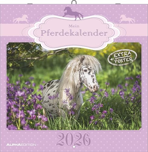 Alpha Edition - Mein Pferdekalender 2026 – Wandkalender 30x30 cm inkl. Poster – für Reit- & Pferdeliebhaber – 12 Pferdefotografien, viel Platz für Notizen, mit Feiertagen & Ferienterminen