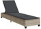 vidaXL Lettino Prendisole con Cuscini Grigio Chiaro 55x200x25,5 cm, lettino, lettino, lettino, lettino, lettino, chaise longue, lettino lounge